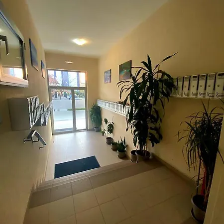 Comfort One Bedroom Apartment Podgorica Exterior photo